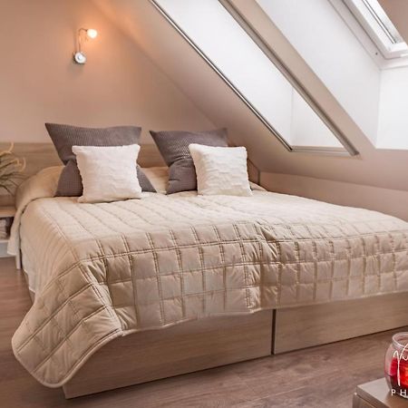 Apartman Na Lipne Фримбурк Экстерьер фото