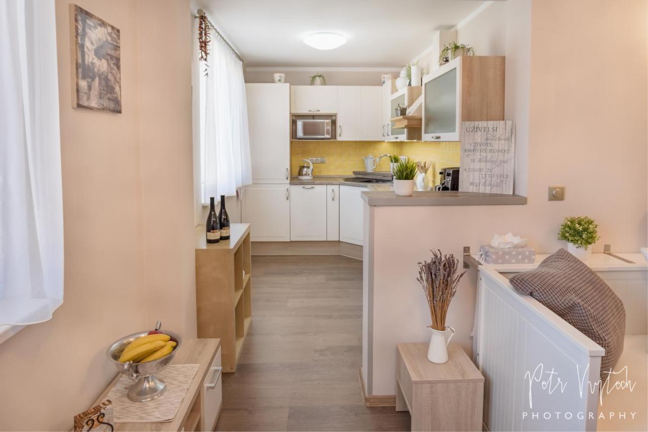 Apartman Na Lipne Фримбурк Экстерьер фото