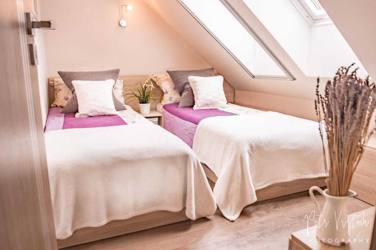 Apartman Na Lipne Фримбурк Экстерьер фото