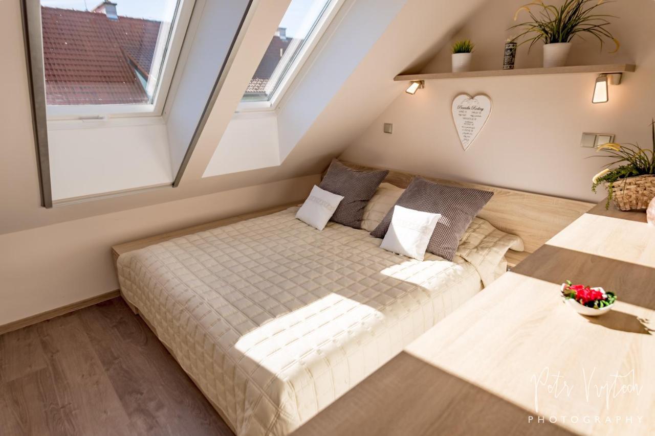 Apartman Na Lipne Фримбурк Экстерьер фото
