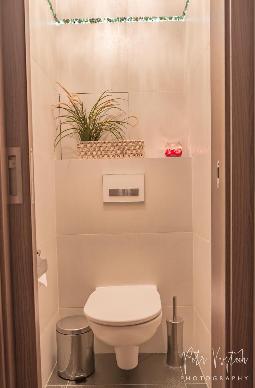 Apartman Na Lipne Фримбурк Экстерьер фото