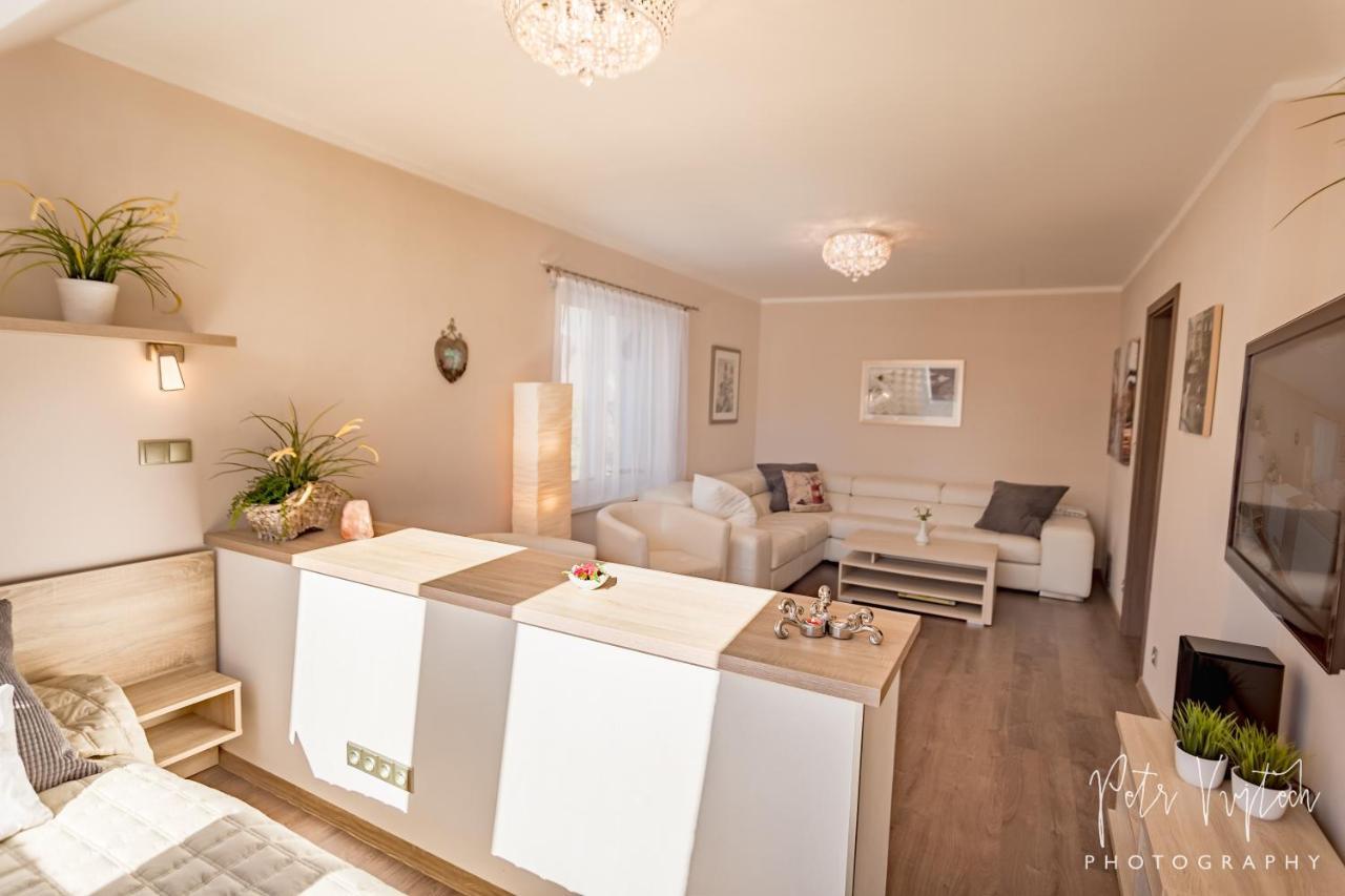 Apartman Na Lipne Фримбурк Экстерьер фото